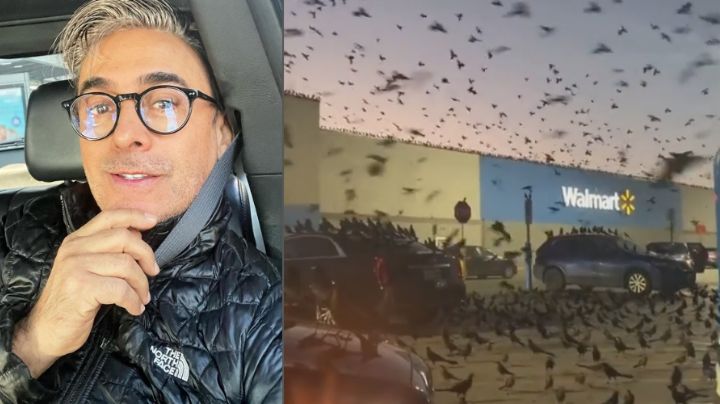 Adal Ramones comparte VIDEO como salido de película de Hitchcock: cientos de pájaros rodean su auto