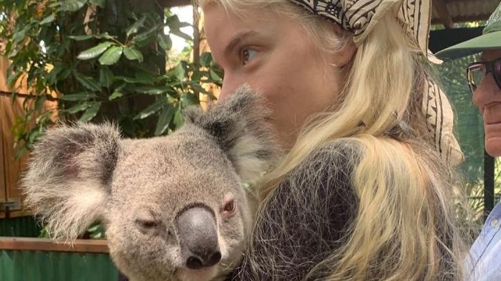 Anya Taylor-Joy ¿se vuelve cuidadora de koalas? Así comparte su experiencia en Australia