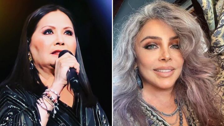 Ana Gabriel le habría dedicado esta canción a Verónica Castro para revelar su apasionado amor