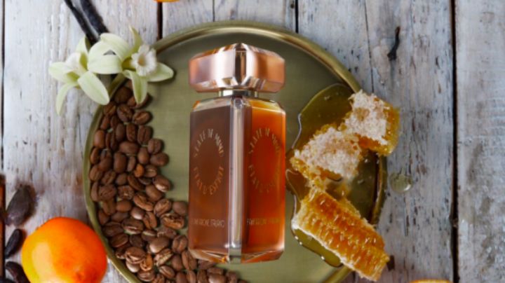 ¿Cómo son los perfumes de Nicho y qué ofrecen?